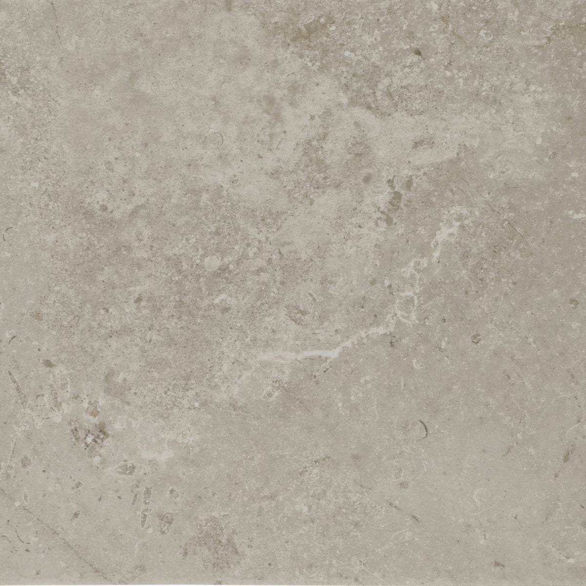 Daltile Scripter Mentor Square 24x24 Stepwise Matte Floor Tile