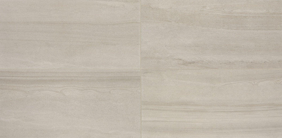 Daltile Platinum Grey Rectangle 12x24 Matte Floor Tile AV19RCT1224MTJ1