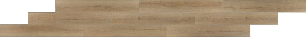 Daltile Bellamy Place Acre VSLCAP End Cap SuperGuard Technology LVT Trim