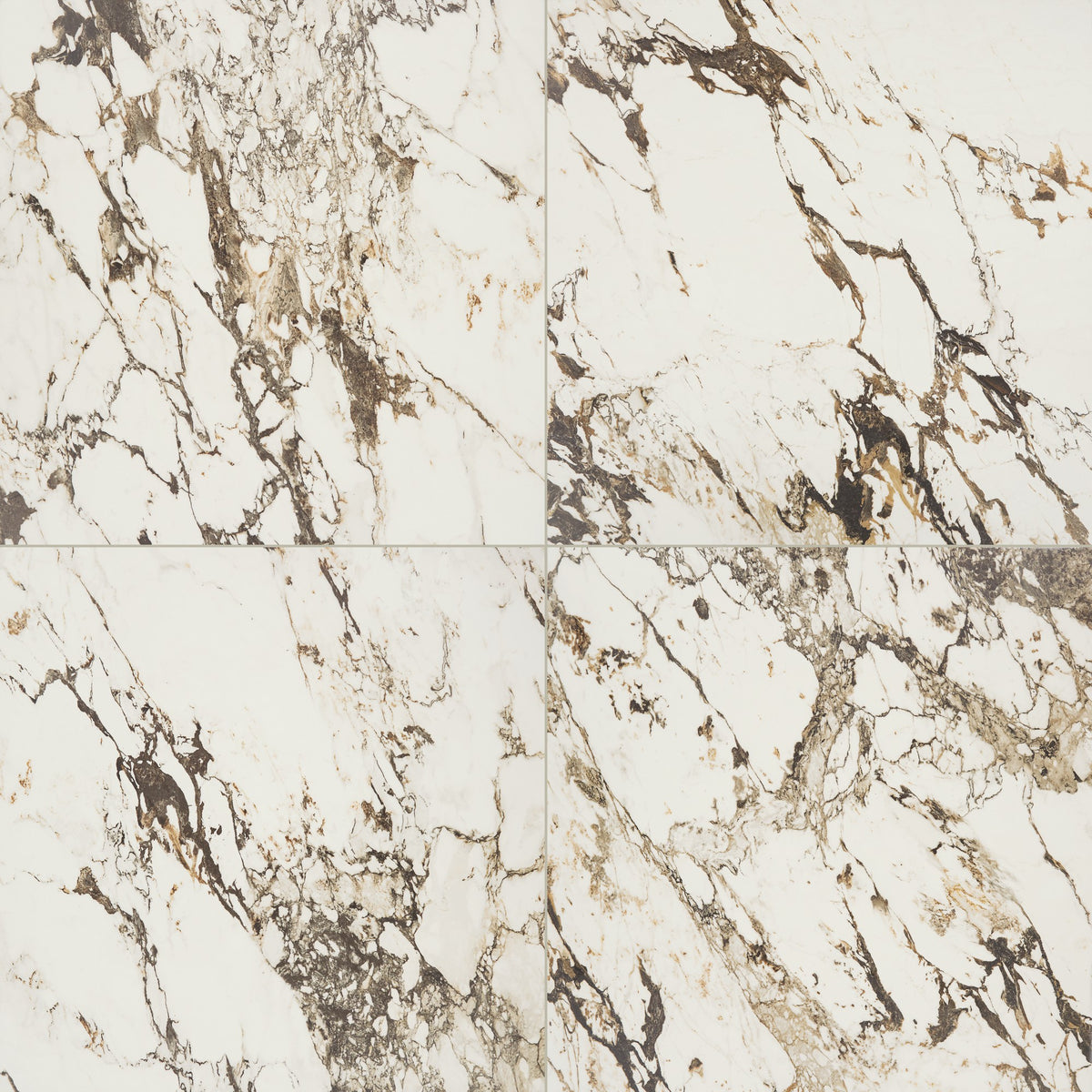 Daltile Panoramic Duet Calacatta Aries Square 24x24 Matte Floor Tile