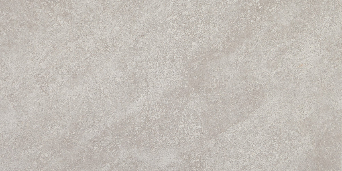 Daltile Choice Iron Rectangle 12x24 Matte Floor Tile