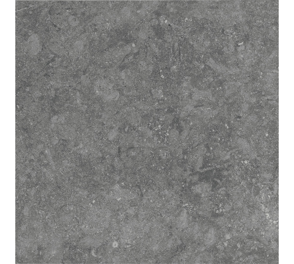 Daltile Diplomacy Light Grey Square 24x24 Matte Floor Tile