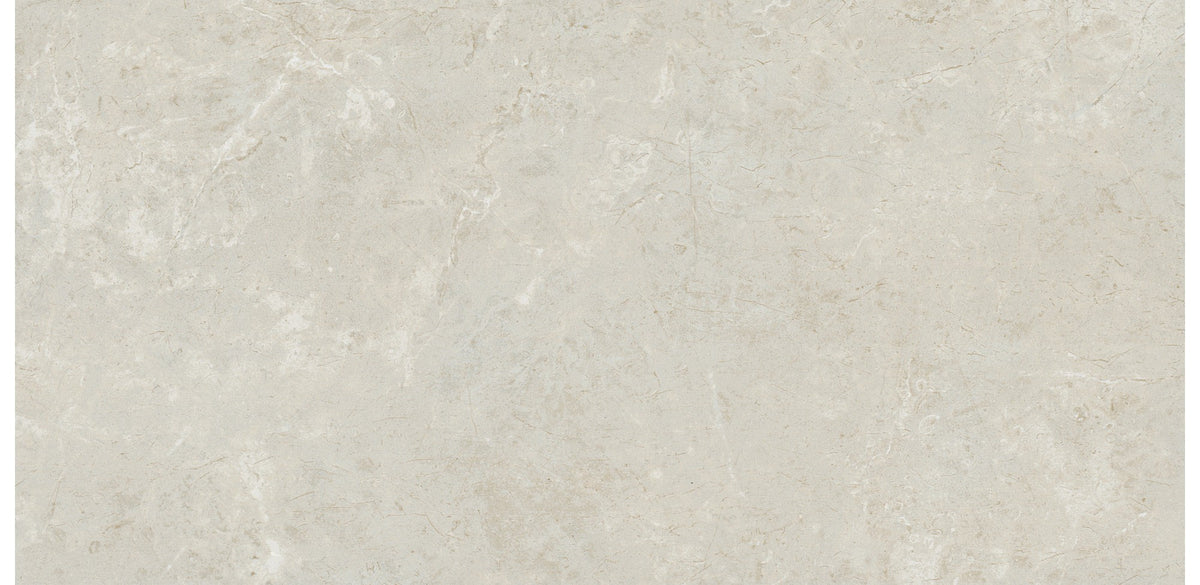 Daltile Florentine Argento Rectangle 12x24 Matte Floor Tile