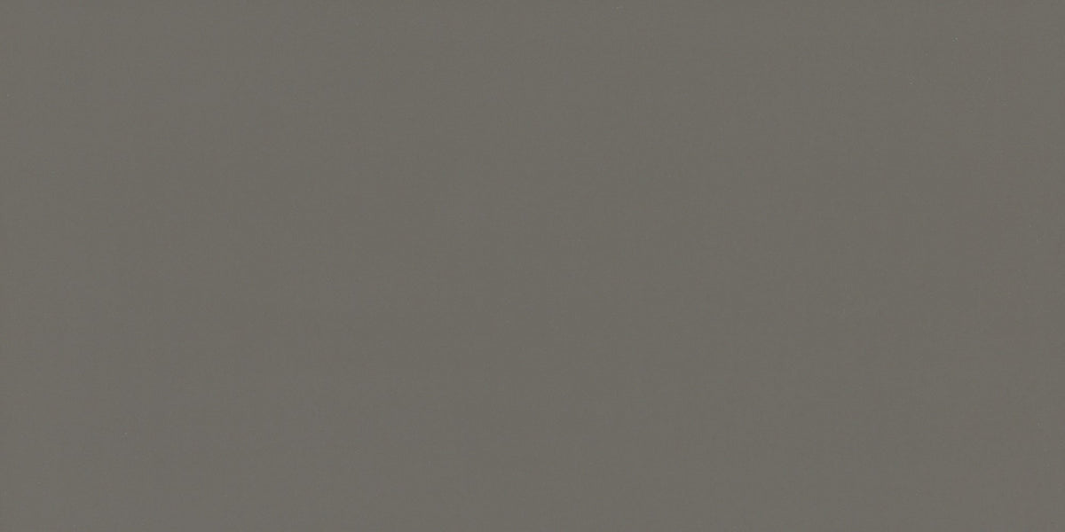 Daltile Flat Iron Rectangle 12x24 Matte Floor Tile