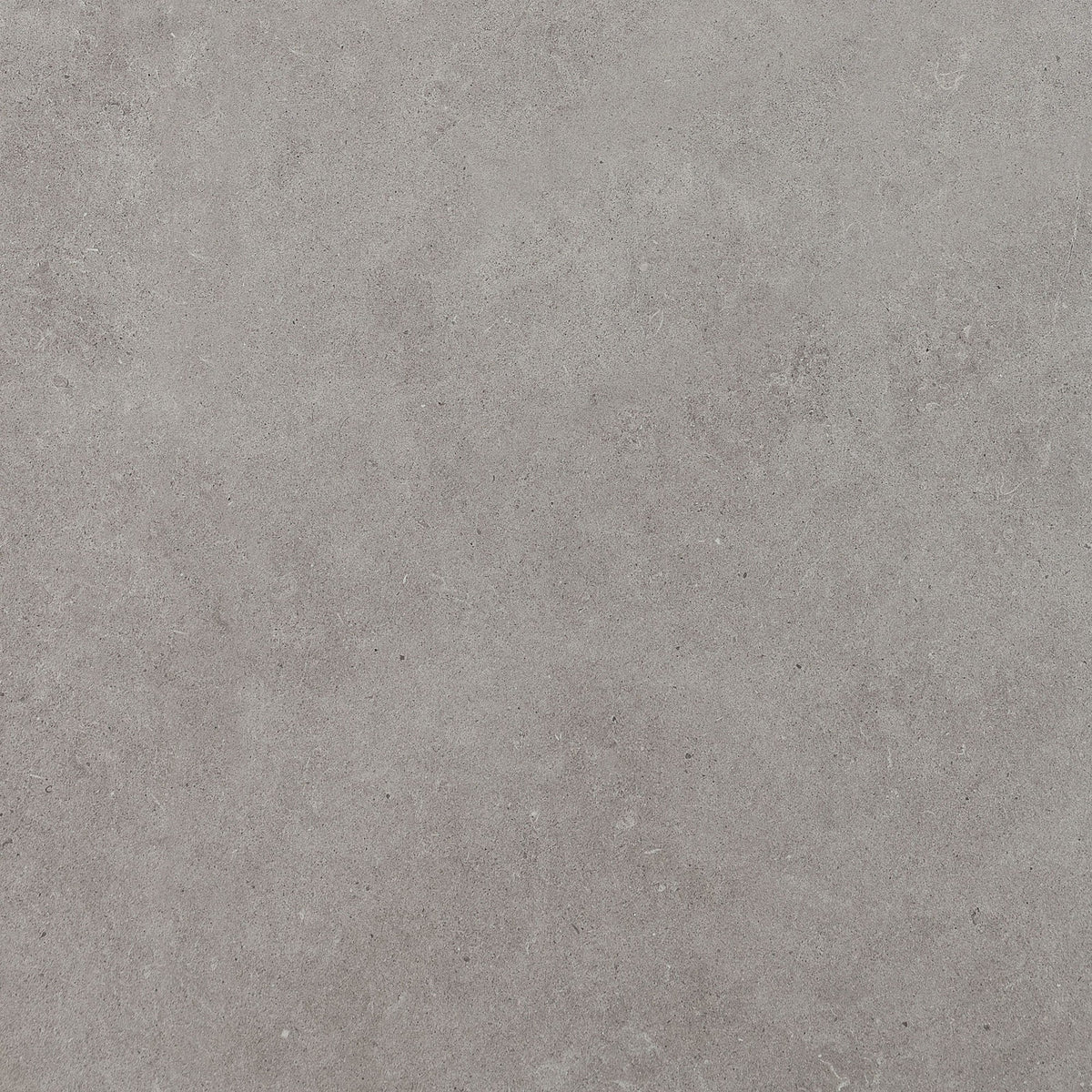 Daltile Haut Monde Glitterati Granite Square 24x24 Matte Floor Tile