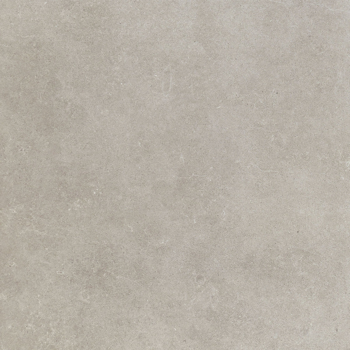 Daltile Haut Monde Elite Grey Square 12x12 Matte Floor Tile