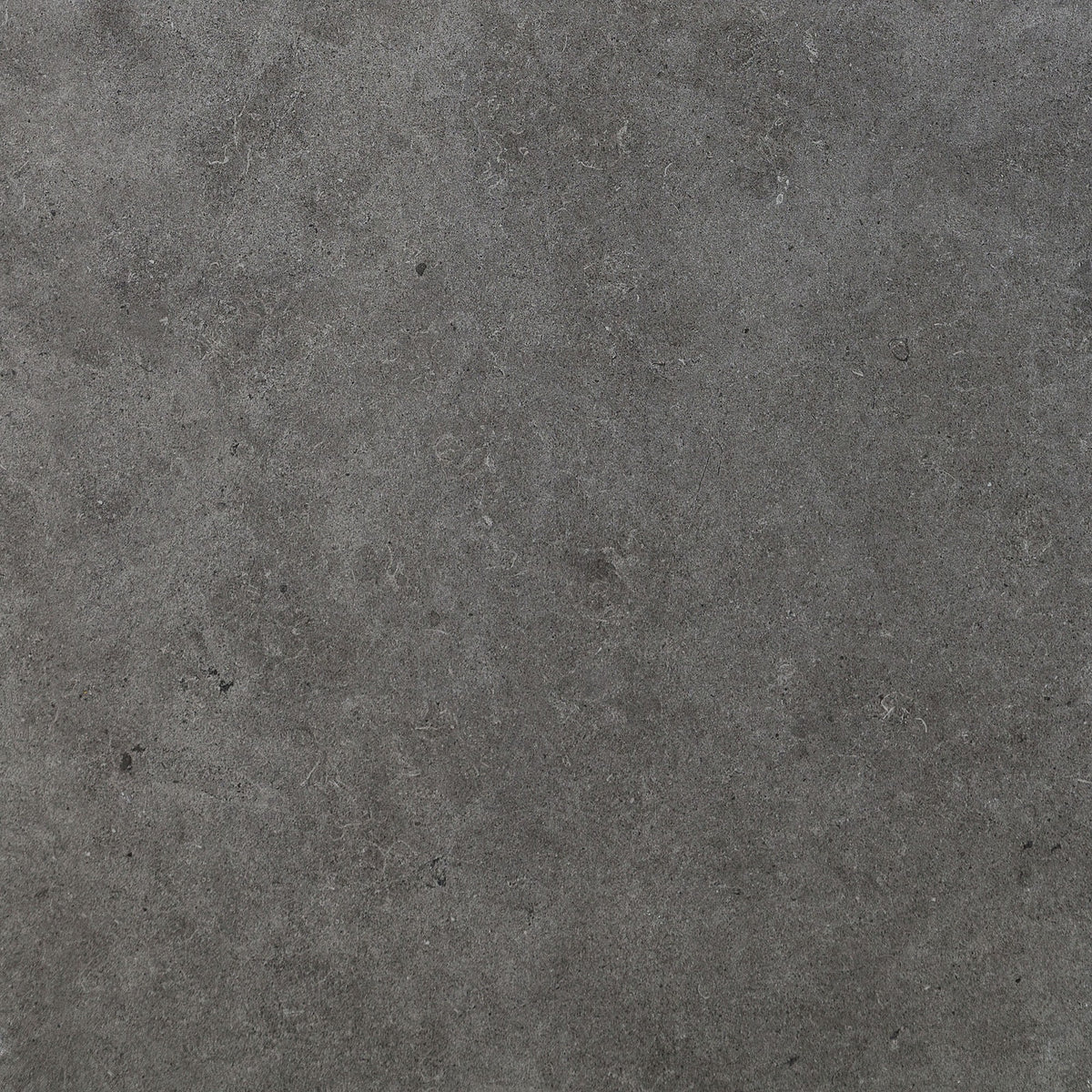 Daltile Haut Monde Empire Black Square 24x24 Matte Floor Tile