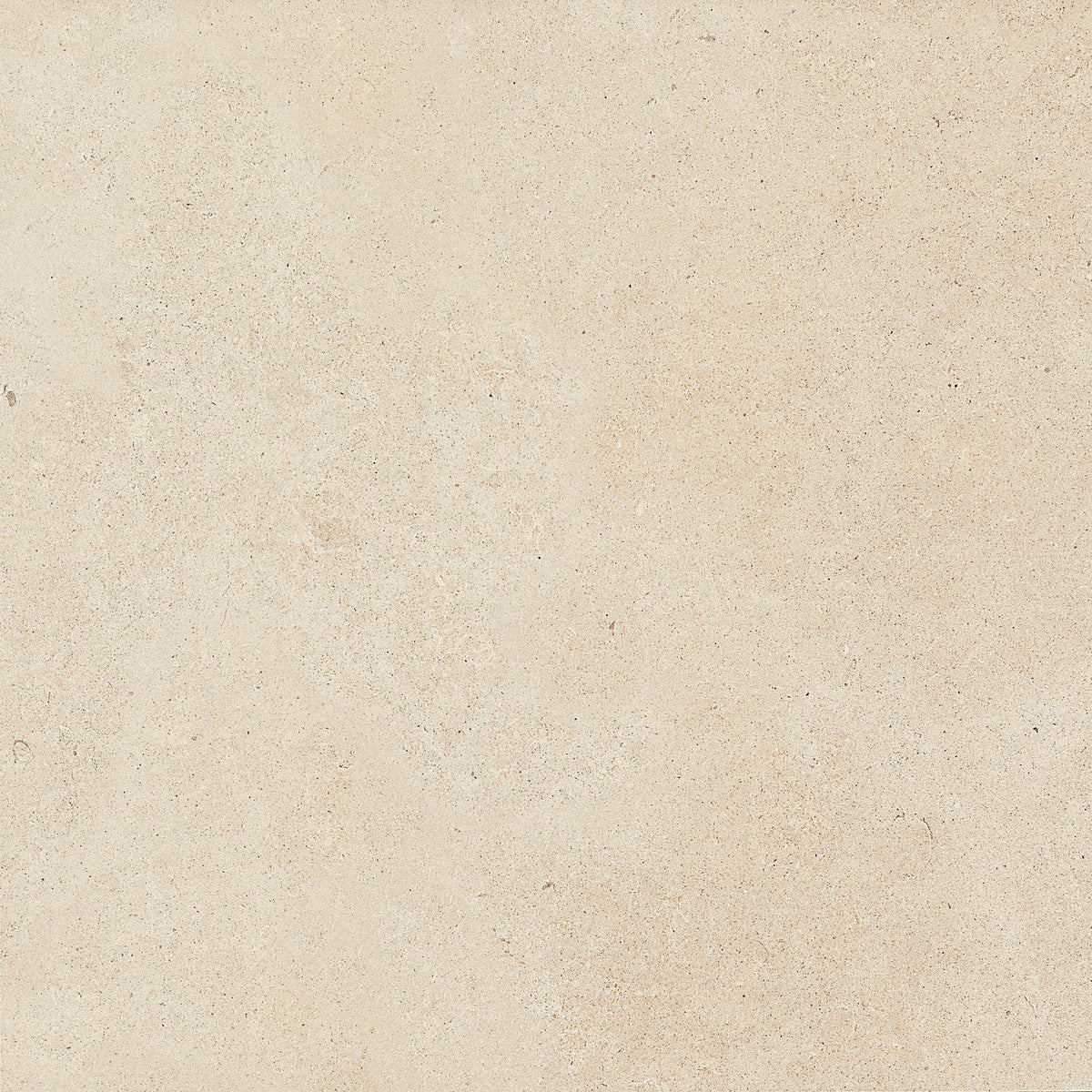 Daltile Haut Monde Nobility White Square 12x12 Matte Floor Tile