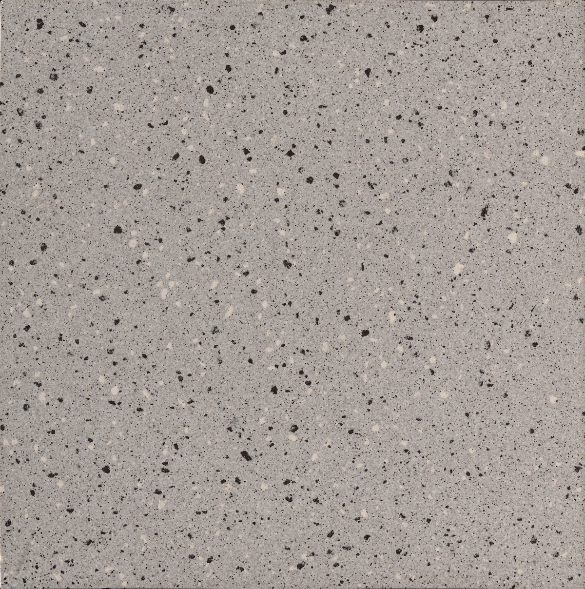 Daltile Harmonist Celestia Square 12x12 Matte Floor Tile
