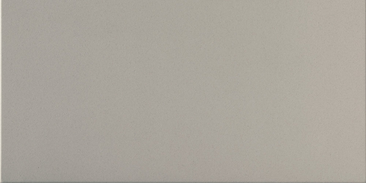 Daltile Harmonist Peace Rectangle 12x24 Matte Floor Tile