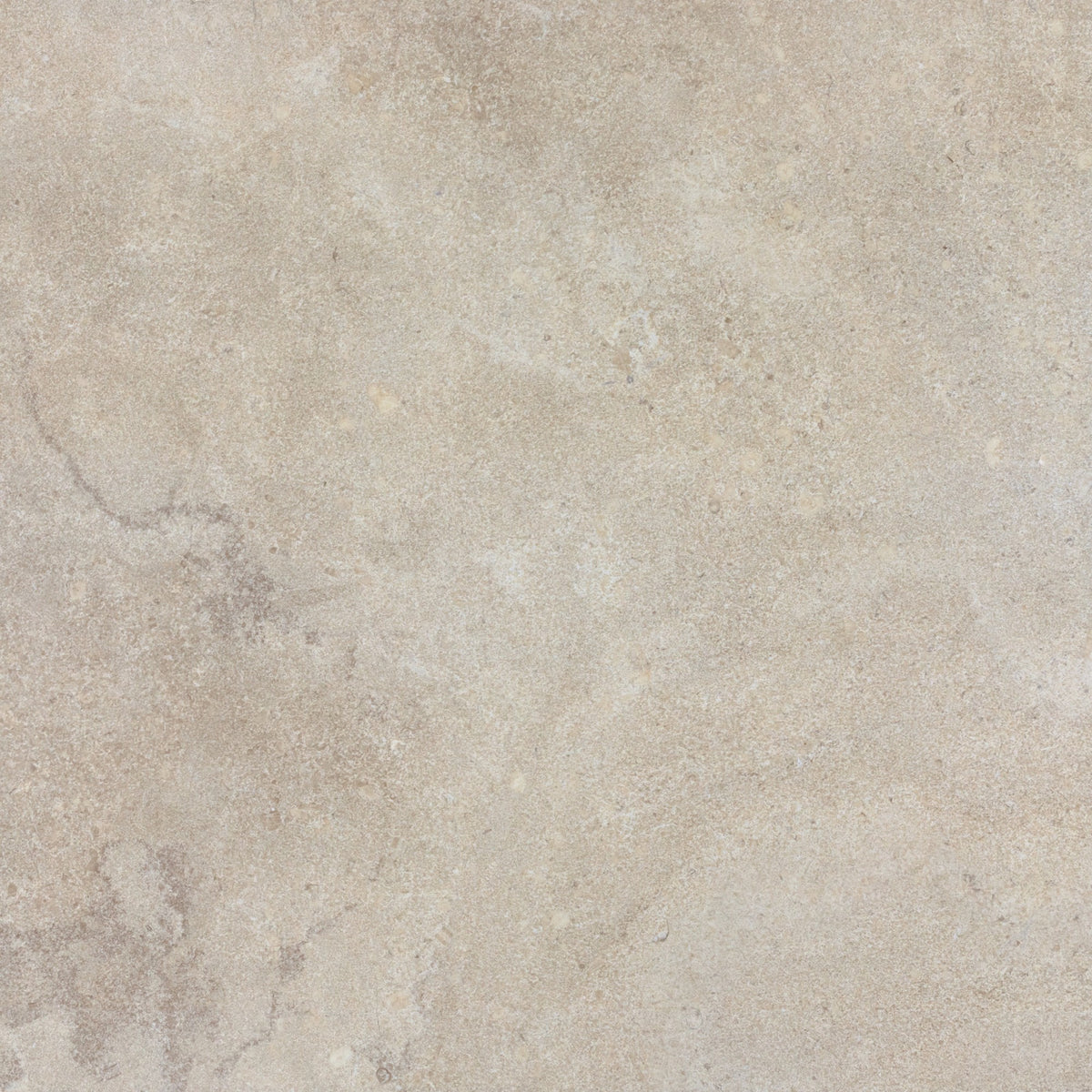 Daltile Haddonstone Dawn 1224C6 Coping (6cm Return) Textured Floor Tile Trim