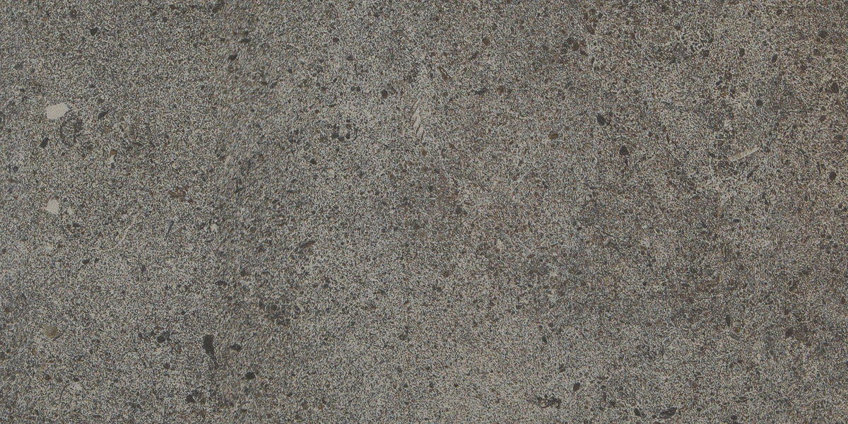Daltile Industrial Park Charcoal Gray Rectangle 12x24 Matte Floor Tile