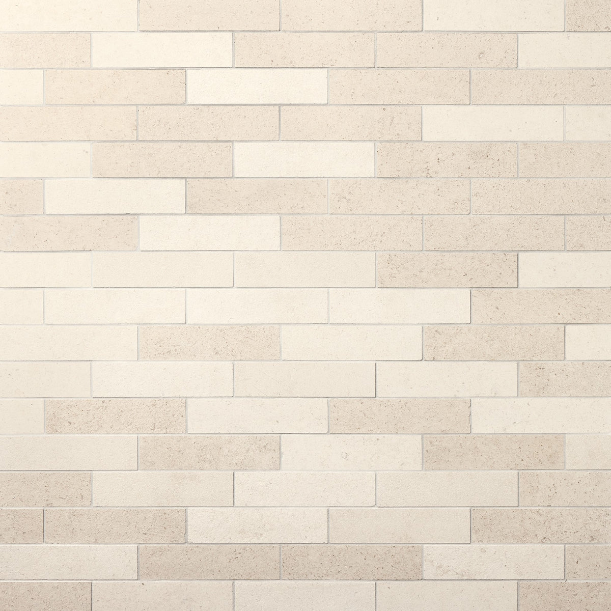 Daltile Renderra Loire Curio Rectangle 2x8 Antique Stone Tile
