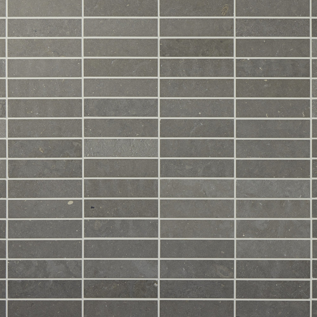 Daltile Renderra Loire Seine Rectangle 2x8 Antique Stone Tile