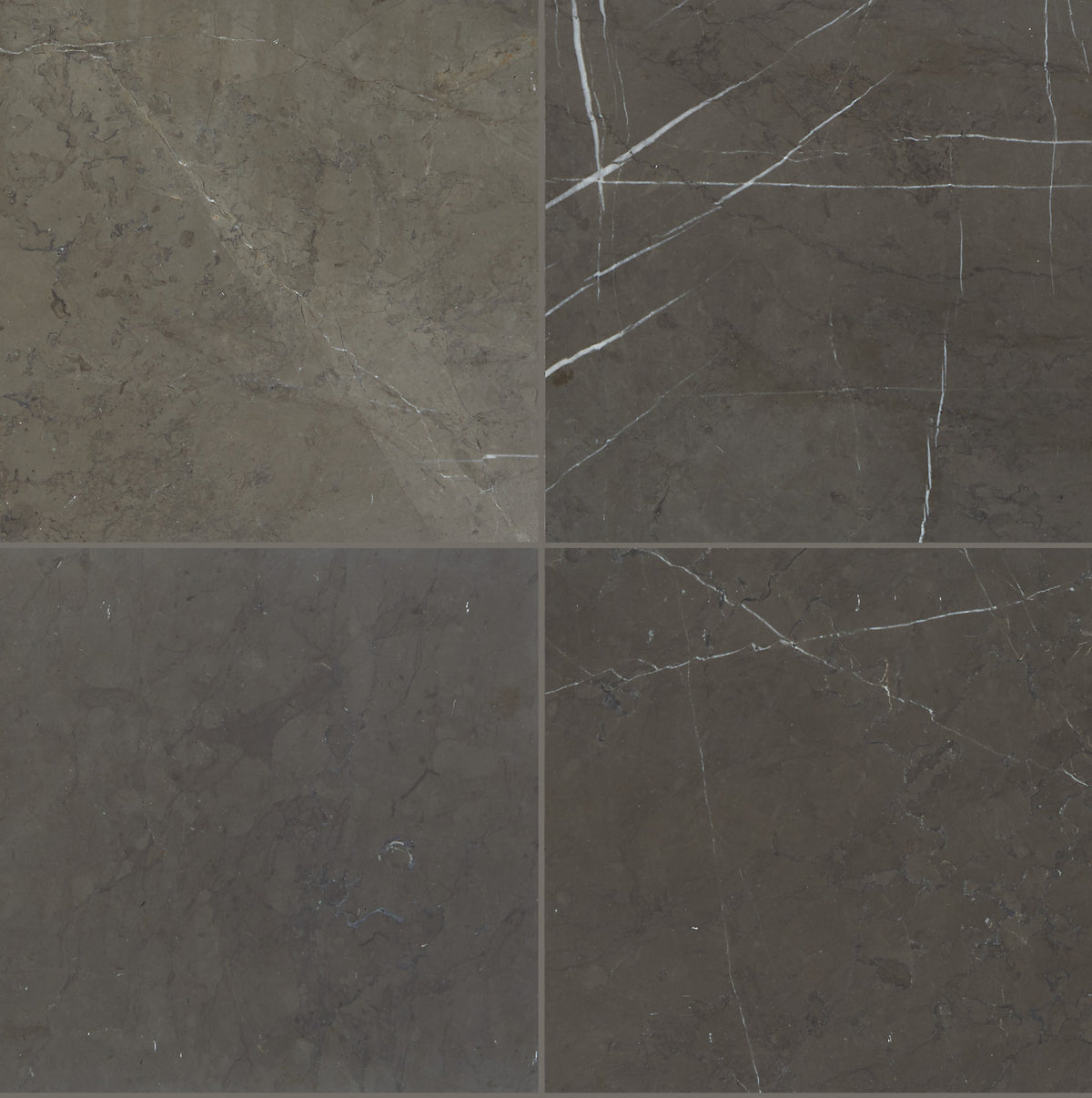 Daltile Marble Antico Scuro Square 24x24 Honed Stone Tile