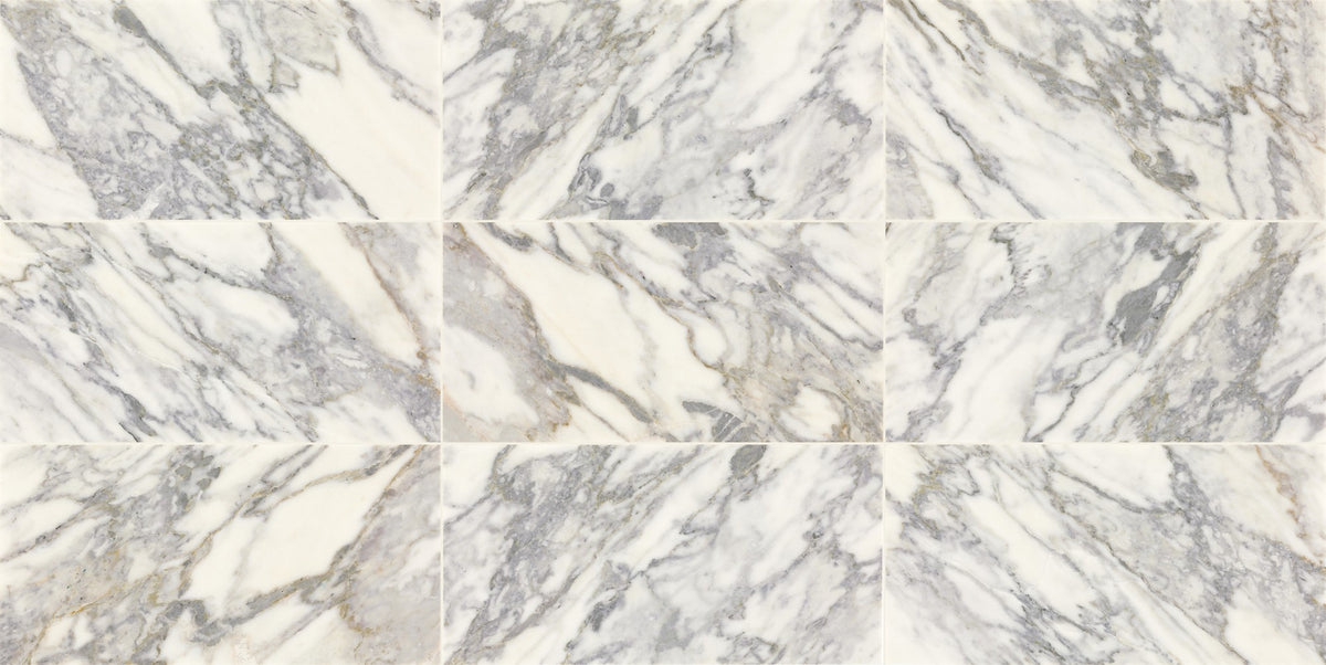Daltile Eclessia Marble Arabescato Argento Rectangle 12x24 Honed Stone Tile