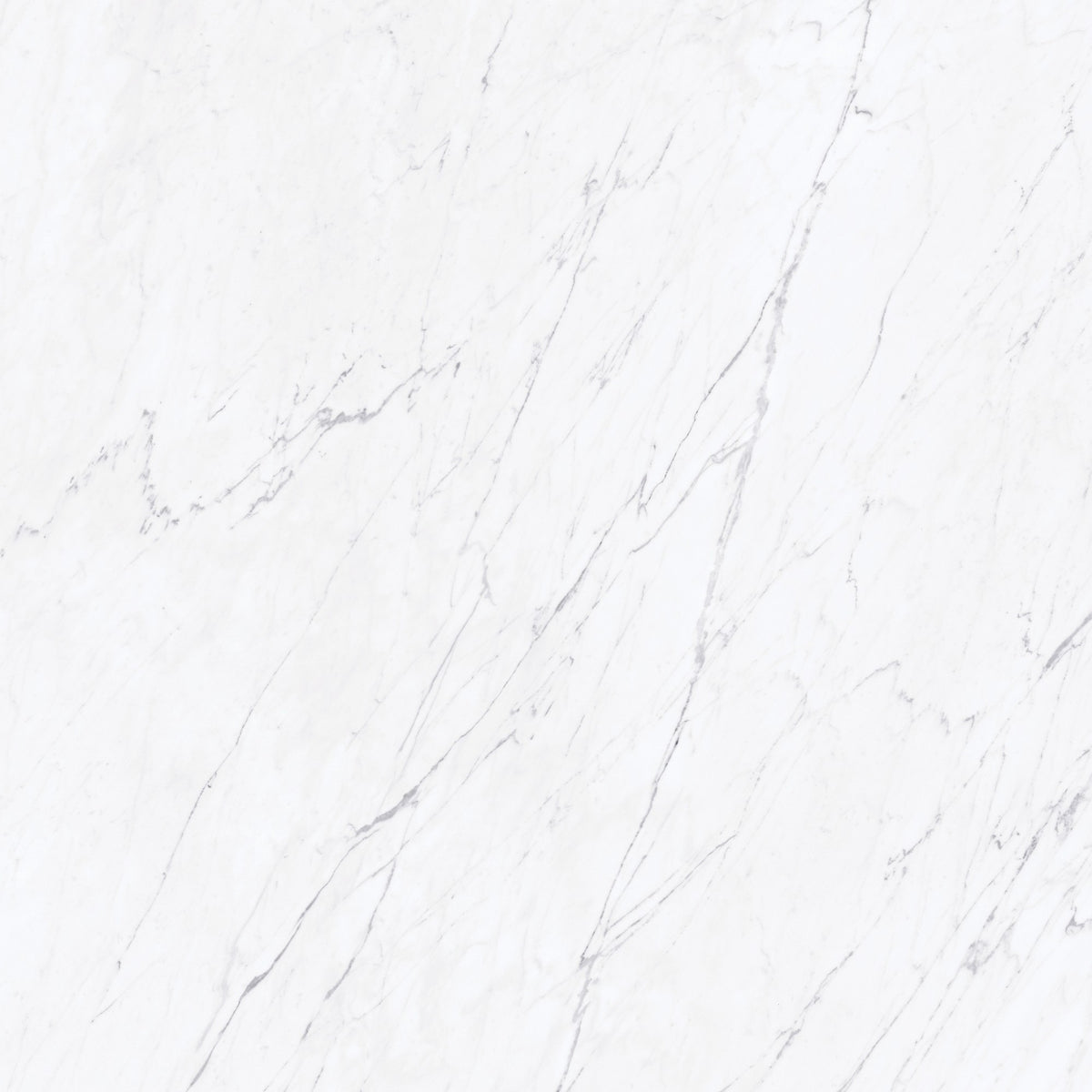 Daltile Marble Attache Lavish Diamond Carrara Square 24x24 Matte Floor Tile