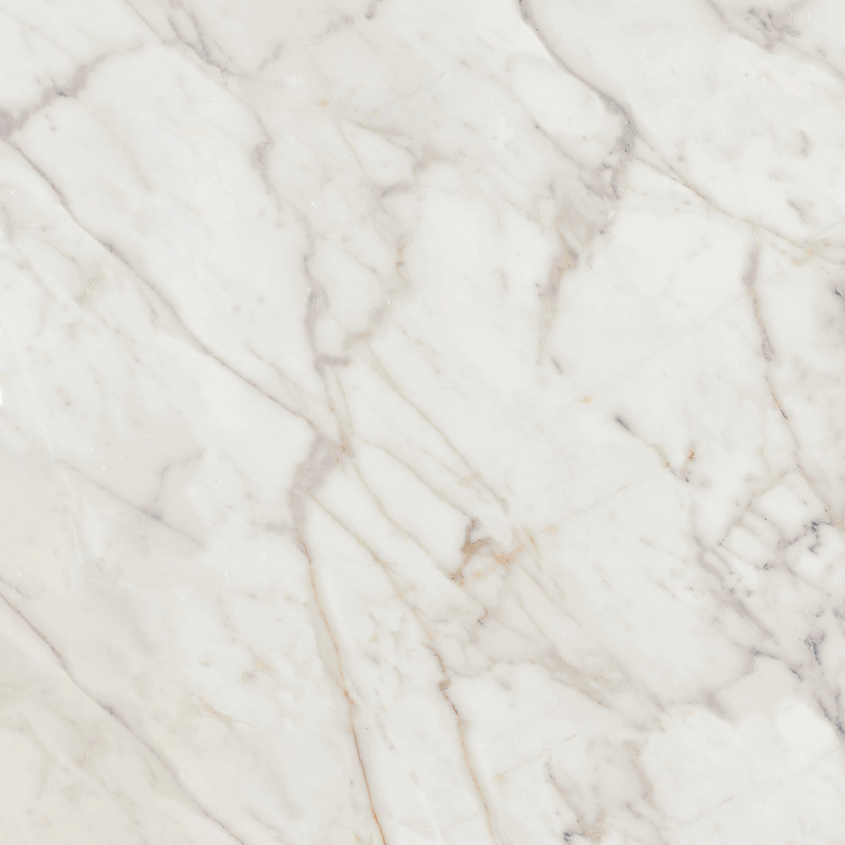 Daltile Marble Attache Lavish Golden Reverie Square 24x24 Polished Floor Tile