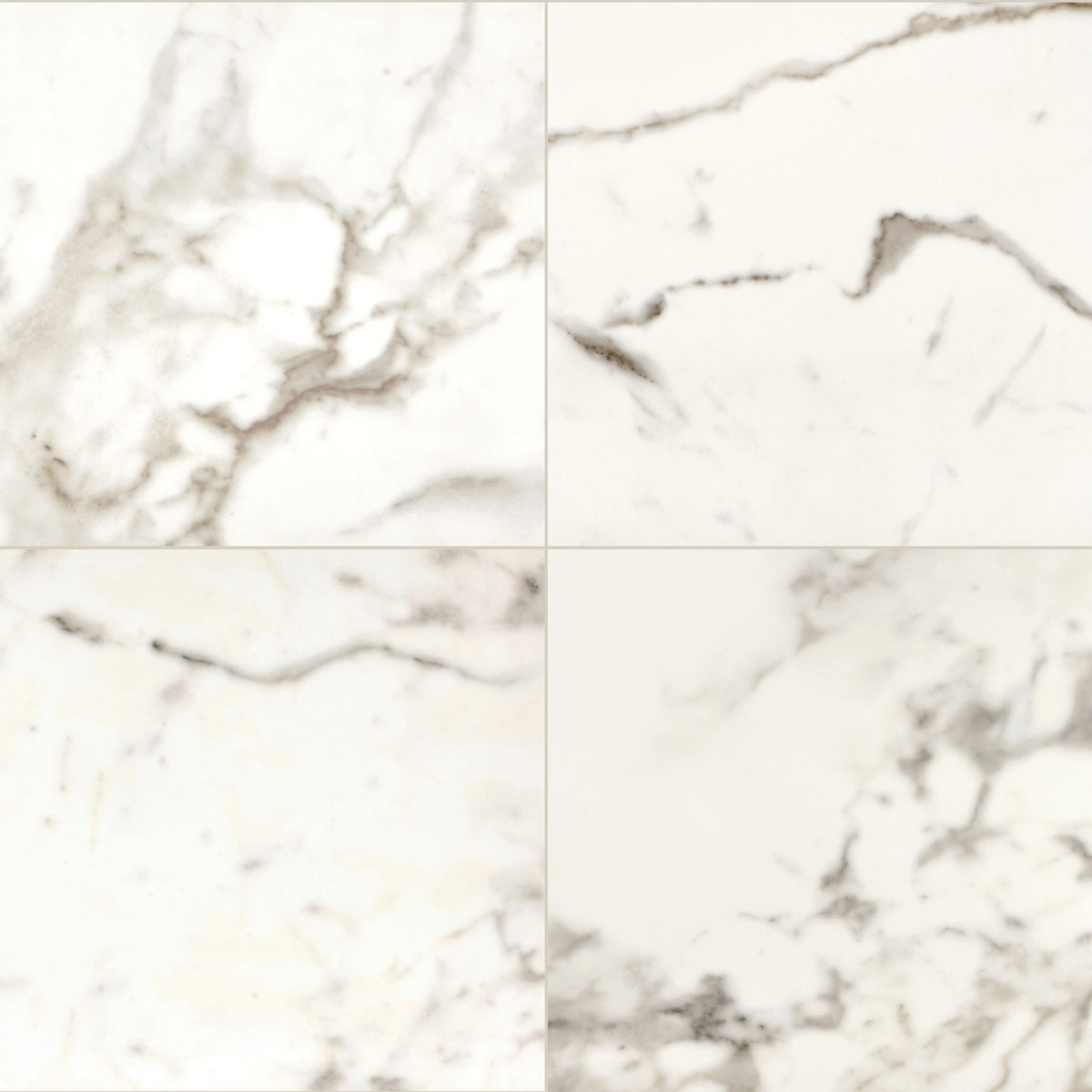 Daltile Marble Attache Calacatta Square 24x24 Satin Floor Tile MA872424MZ1P