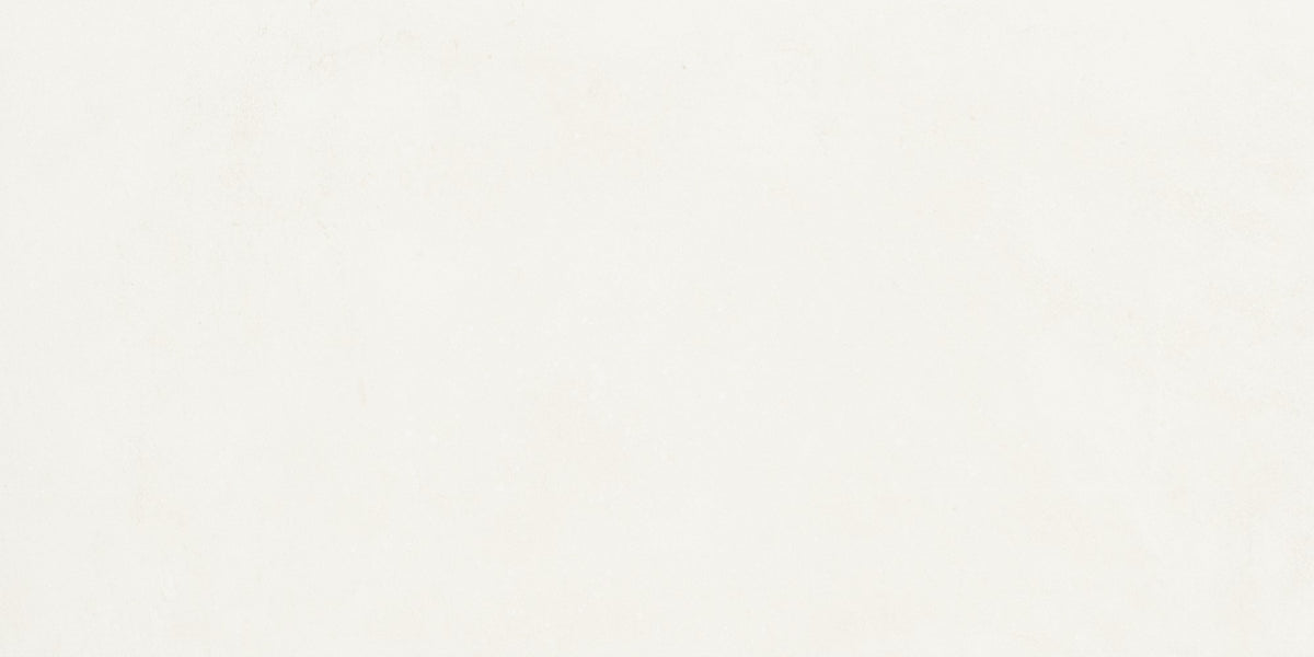 Daltile Portfolio Ice Rectangle 12x24 Microban Matte Floor Tile