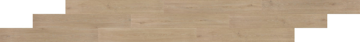 Daltile Pines Terrace Sugar Glue Down 7 1/4x48 2.0MM 8 MIL(0.2032MM) Luxury Vinyl Tile