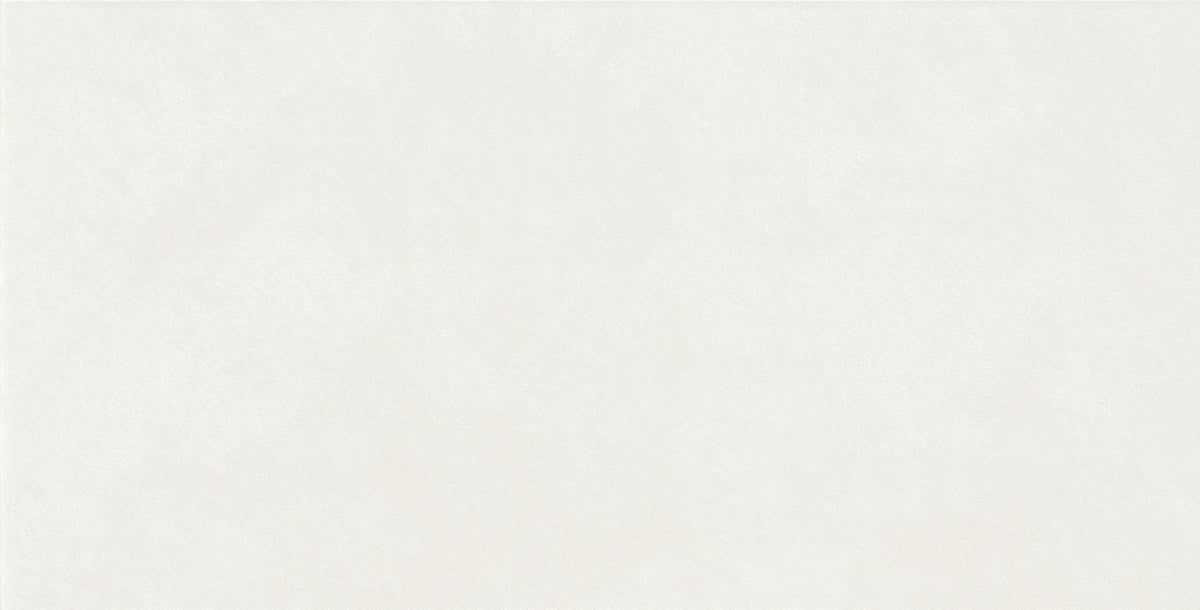 Daltile Rigid Clay Salt Rectangle 12x24 Plateau Microban Matte Wall Tile