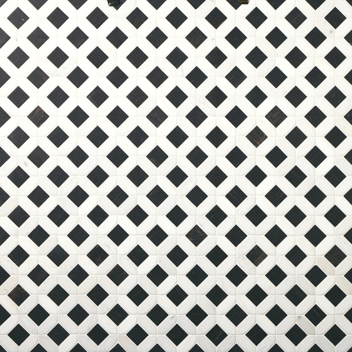 Daltile Renderra Lyon Black and White Garden Lattice Brushed Mosaic Natural Stone Tile