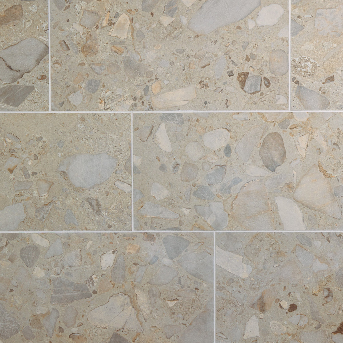 Daltile Sand and Stone Tundra Rectangle 12x24 Stone Matte Floor Tile