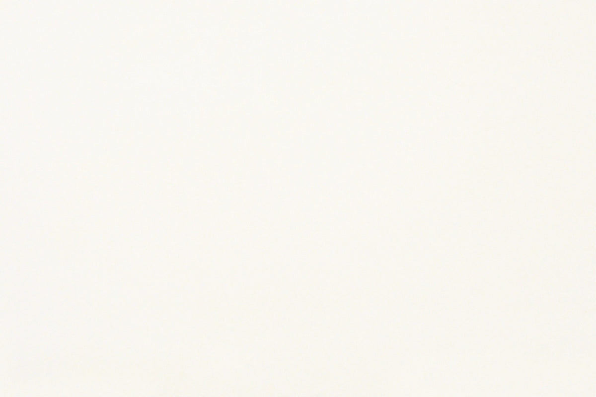 Daltile Marble Thassos White Rectangle 12x24 Polished Stone Tile