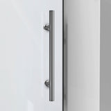 DreamLine Enigma-XO 32 1/2 in. D x 56 3/8-60 3/8 in. W x 76 in. H Frameless Shower Enclosure in Brushed Stainless Steel