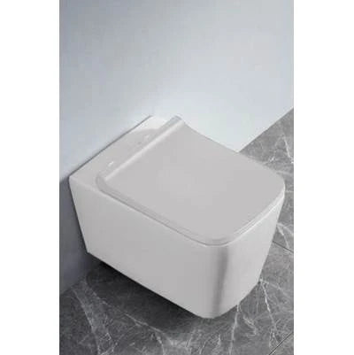 Icera C-5570.01 Baxter Wallhung Toilet