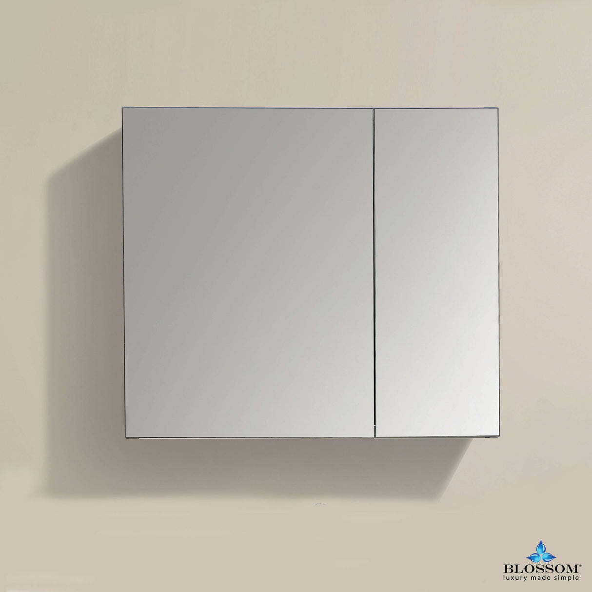 Blossom 25″ Aluminum Medicine Cabinet with Mirror – MC7 2526