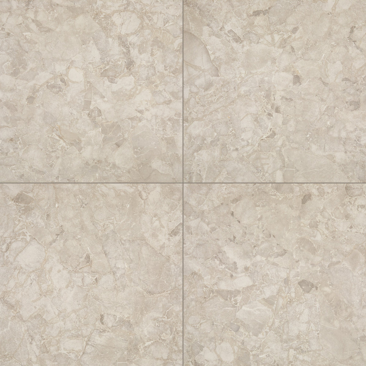 Marazzi Forgehaus Terra Square 24x24 Matte Floor Tile