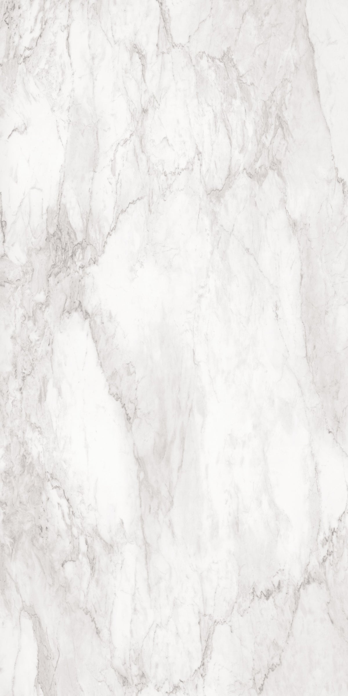 Daltile Elemental Selection Calacatta Slab 63x126 Glossy 6MM Porcelain Slab CM0463126DB1L