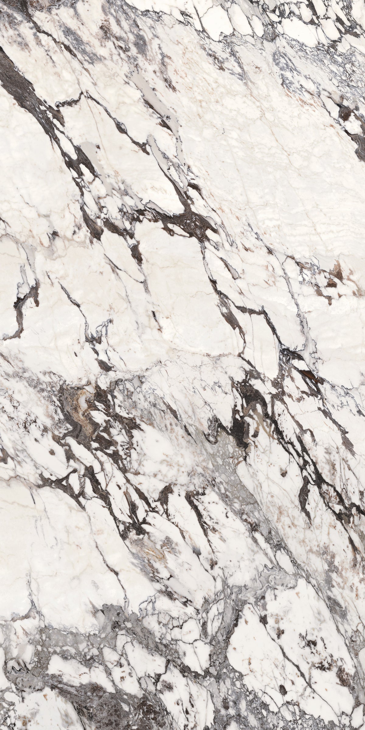 Daltile Elemental Selection Calacatta Aries Slab 64x127 Matte 12MM FC1 Porcelain Slab