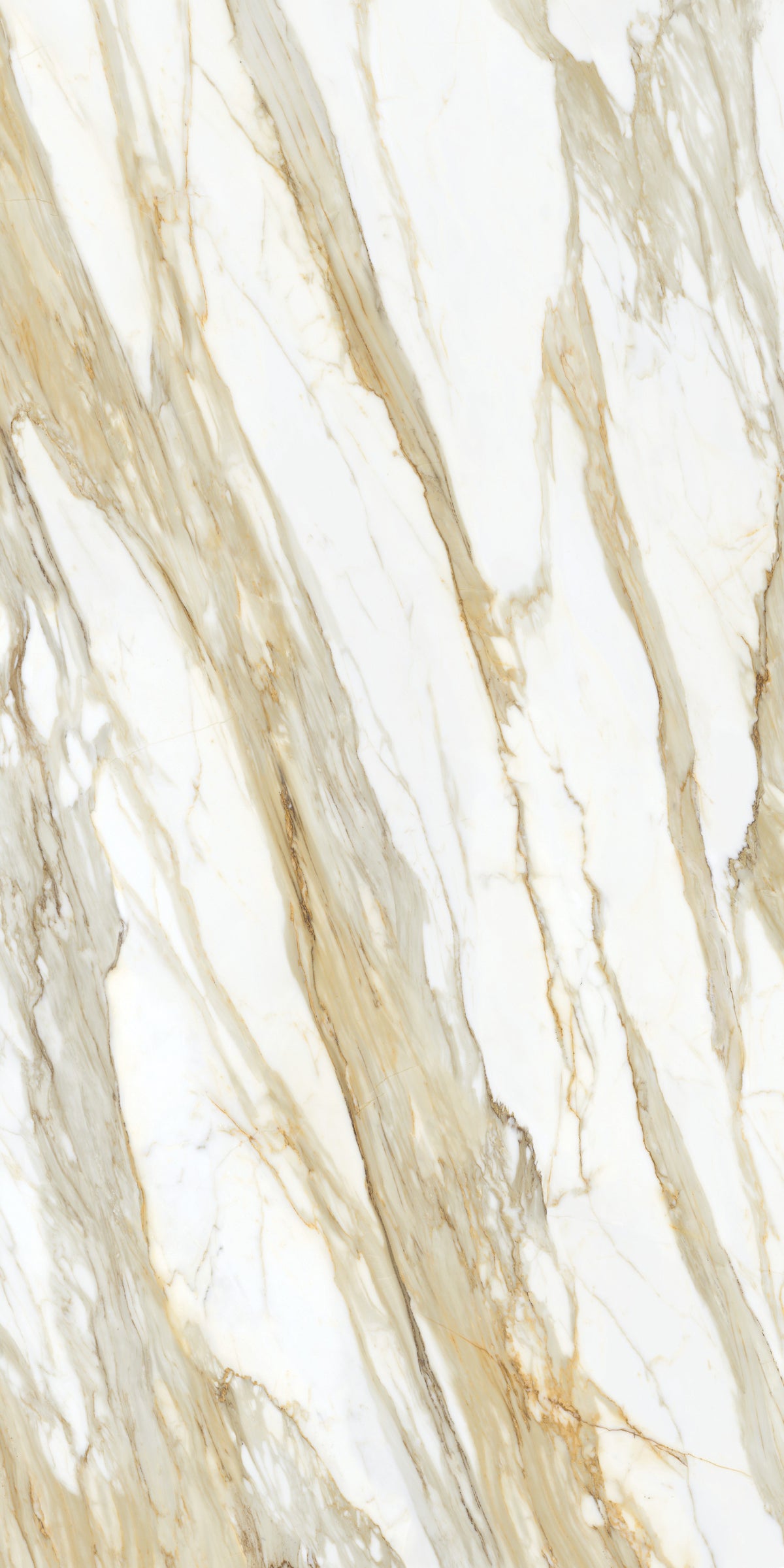 Daltile Elemental Selection Golden Angelite Slab 64x127 Matte 2CM FC2 Porcelain Slab