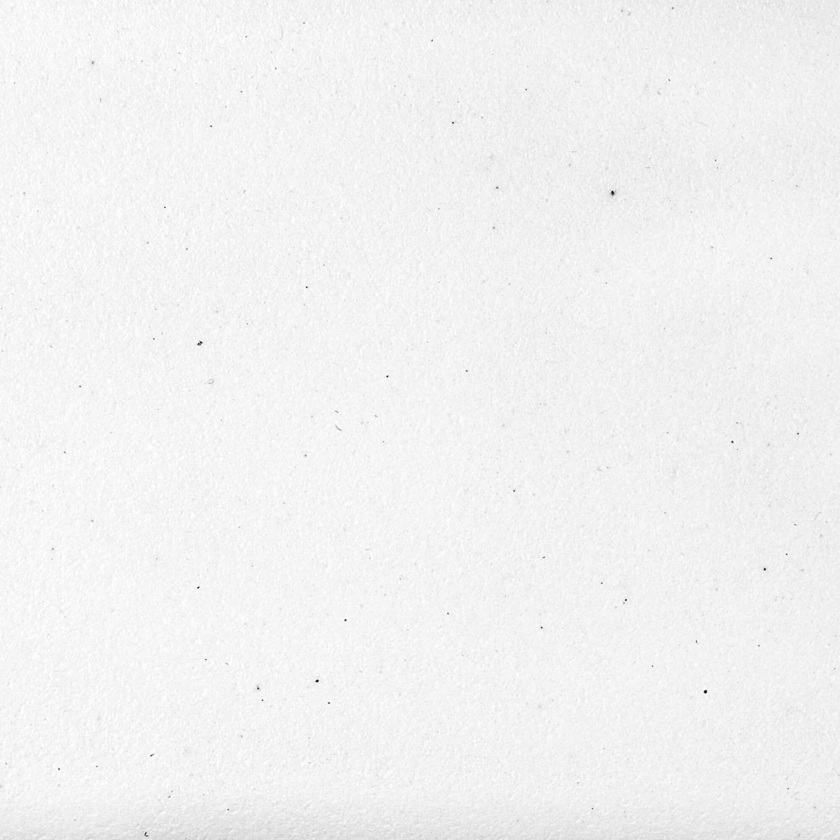 Ruvati 23 x 17 inch Granite Composite Undermount Single Bowl Kitchen Sink - Arctic White - RVG2023WH