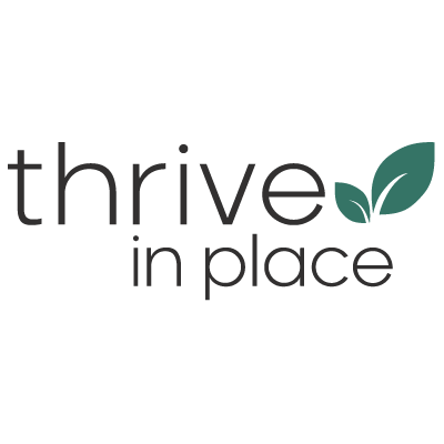 Laurel Thrive In Place DR814162 16-Inch X 1-1/4 Inch O.D Grab Bar, Polished Brass