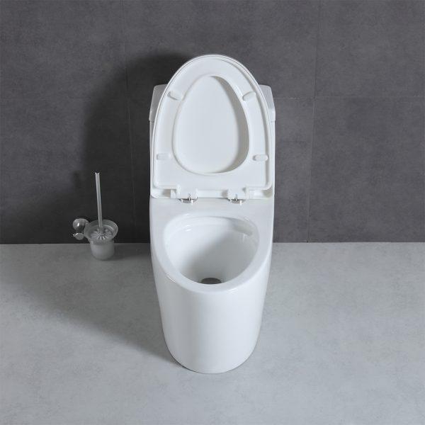 Blossom T9 05 One-Piece Toilet with Dual Cyclone Flush & Self-Cleaning Surface
