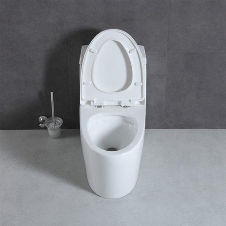 Blossom T9 05 One-Piece Toilet with Dual Cyclone Flush & Self-Cleaning Surface