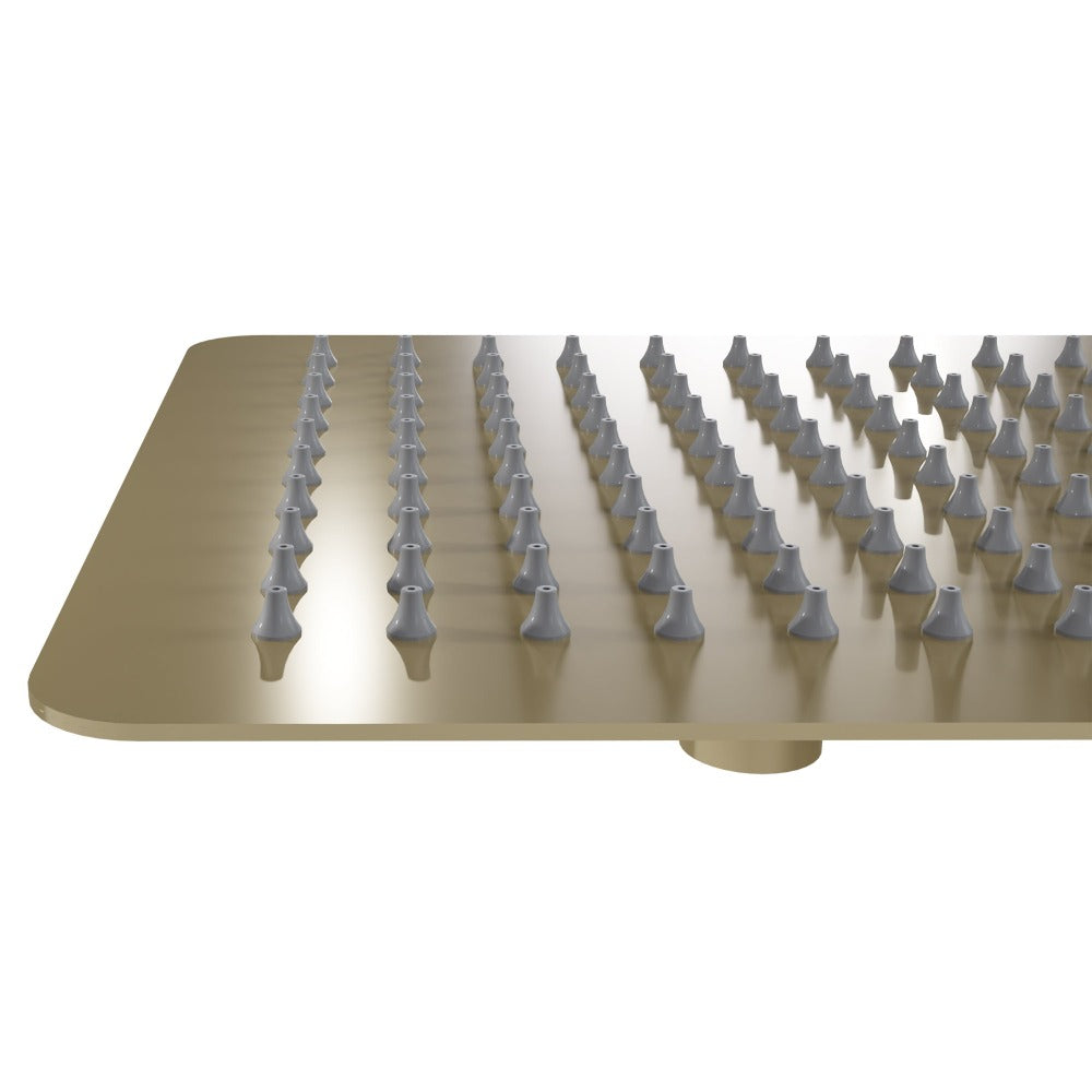 ZLINE Bliss 8 in. Rainfall Shower Head in Champagne Bronze (BLS-H8-CB)