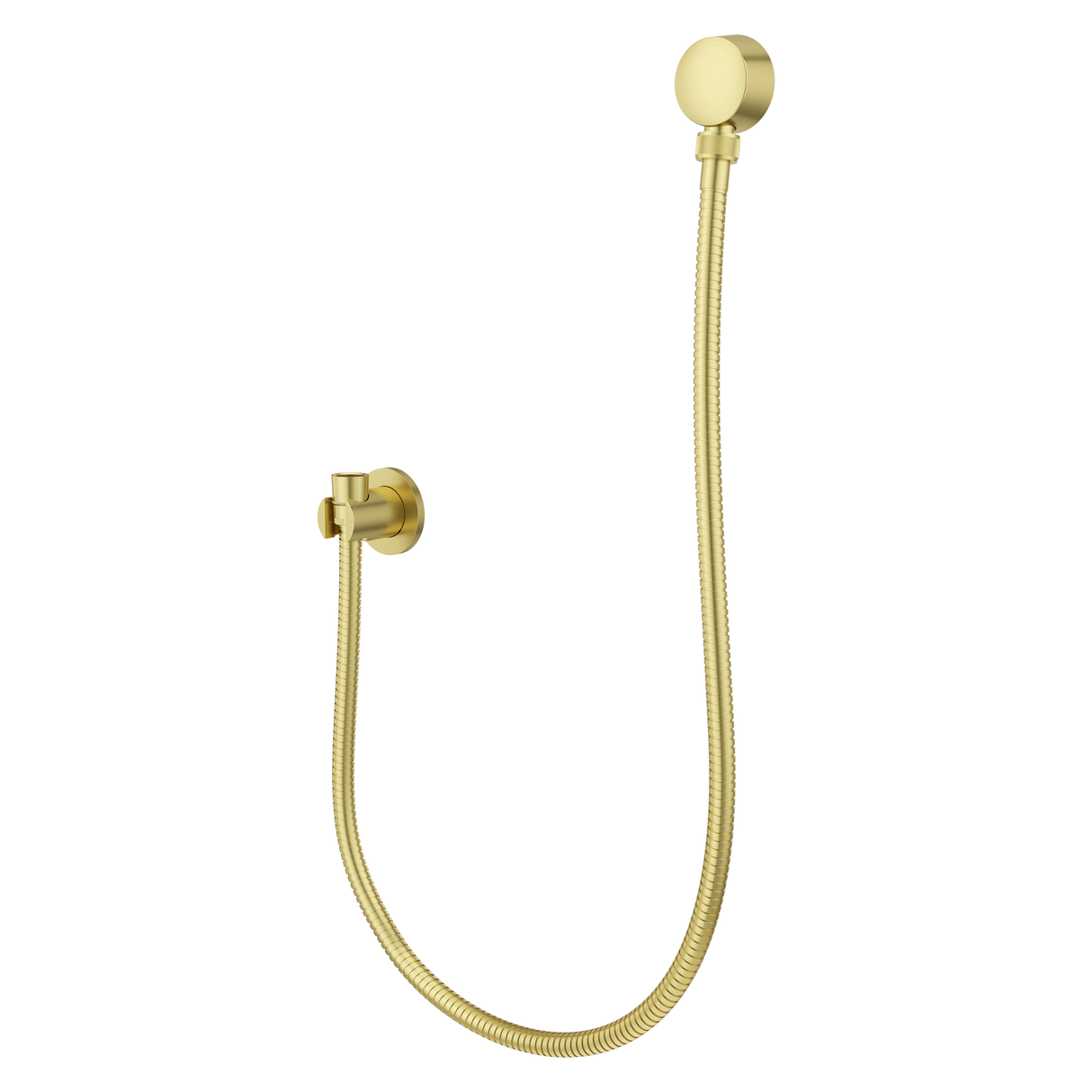 Modern Round 3-Piece Handheld Shower Kit with 60 in. Hose in Brushed Gold