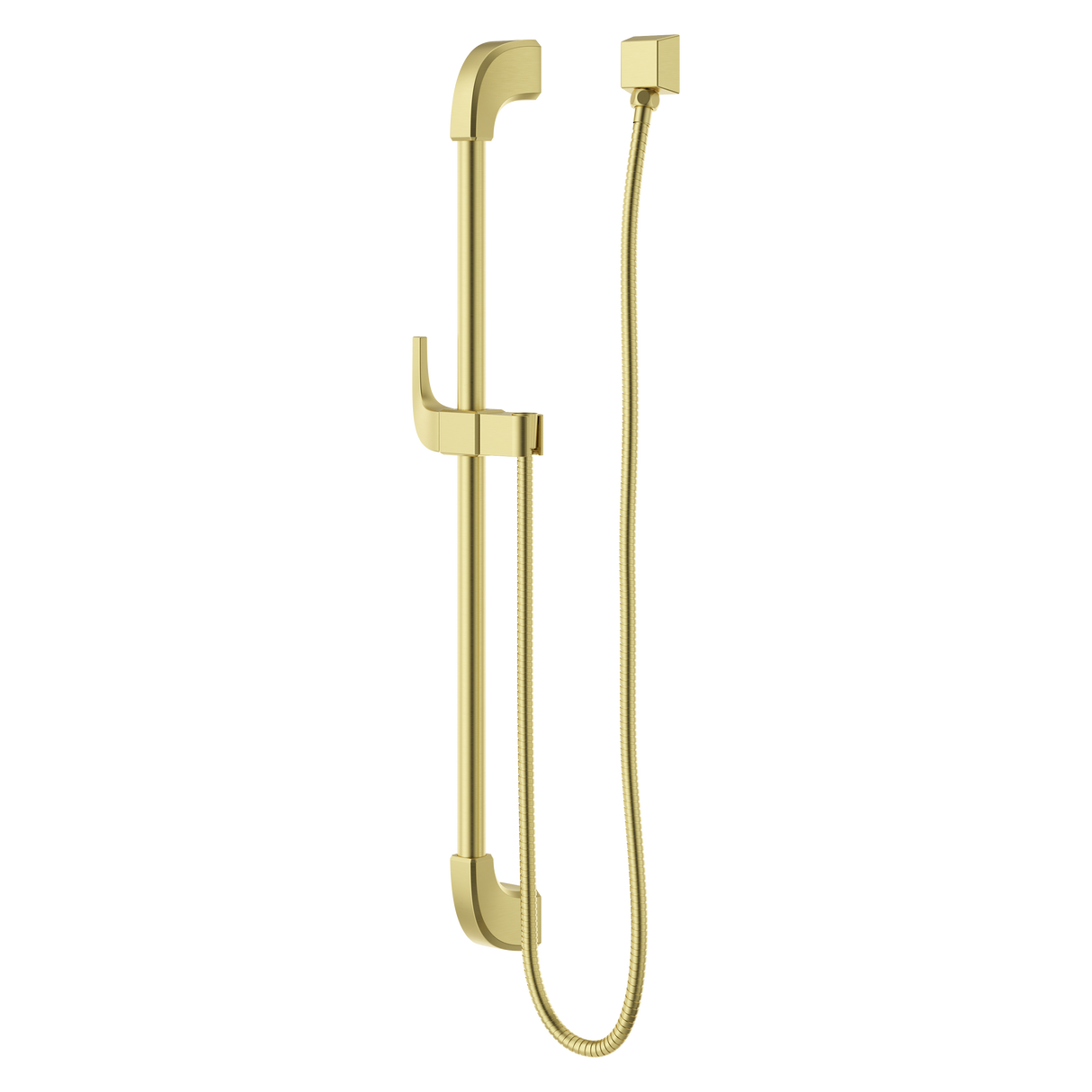 Transitional Square 30 in. Slide Bar with 60 in. Hose in Brushed Gold