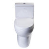 EAGO TB359 DUAL FLUSH ONE PIECE ECO-FRIENDLY HIGH EFFICIENCY LOW FLUSH CERAMIC TOILET