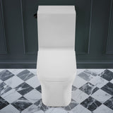 Concorde One-Piece Square Toilet Side Flush, Black Hardware 1.28 gpf