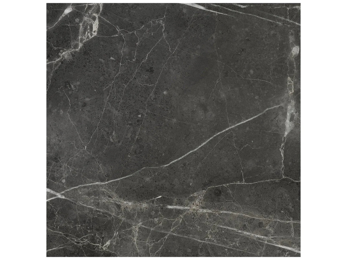 Anatolia 20X20 Lumino Carbon Matte Porcelain Tile 4500-1077-0 Carbon 20x20 - premium natural stone mosaic tile from Anatolia Tile, available at PoshHaus showroom in Keene, NH