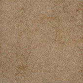 Daltile Parkway Brown Square 18x18 Matte Floor Tile PK971818K1P