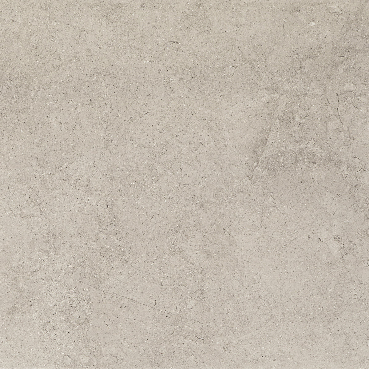 Marazzi Modern Formation Headland Fog Square 24x24 Light Polished Floor Tile