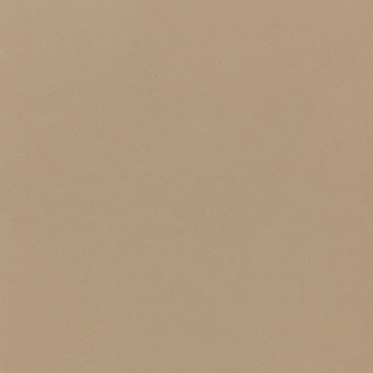 Daltile Plaza Nova Beige Haze Rectangle 4x24 Matte Floor Tile