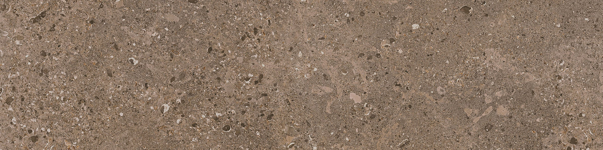 Daltile Dignitary Herald Brown Rectangle 6x24 Matte Floor Tile